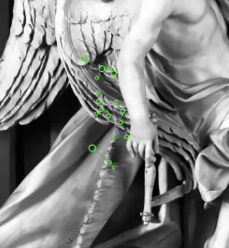 angel wing