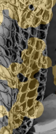Dense closeup