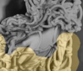 seg lower drape
