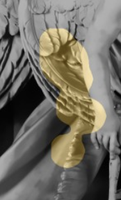 Wing and hair