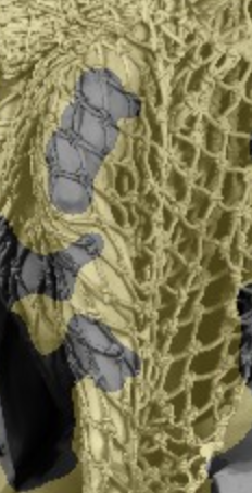 Flesh through net